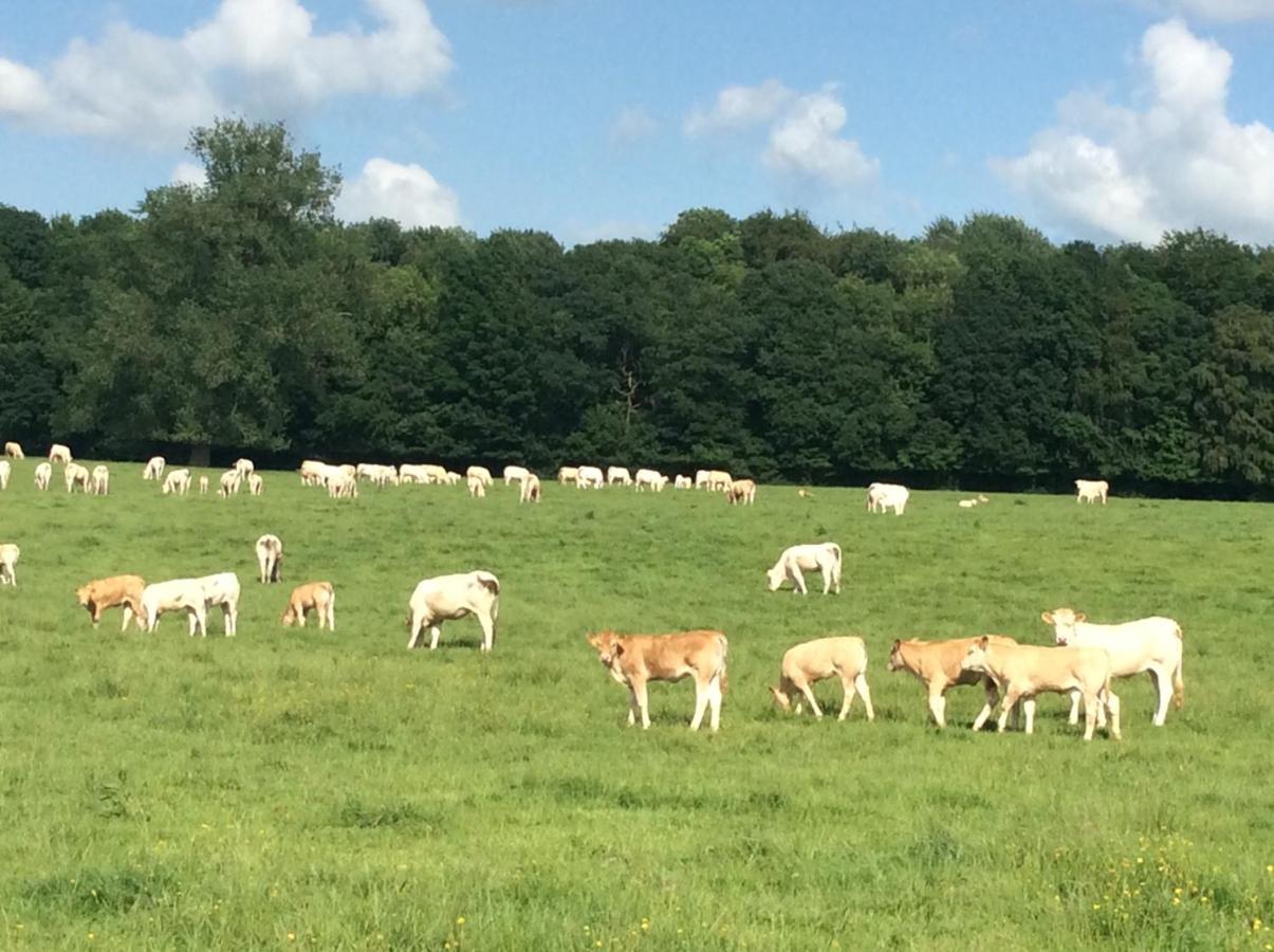 Aux Bois Dorés de la Ferme de sorval, animaux de la ferme, fitness Selvigny Esterno foto